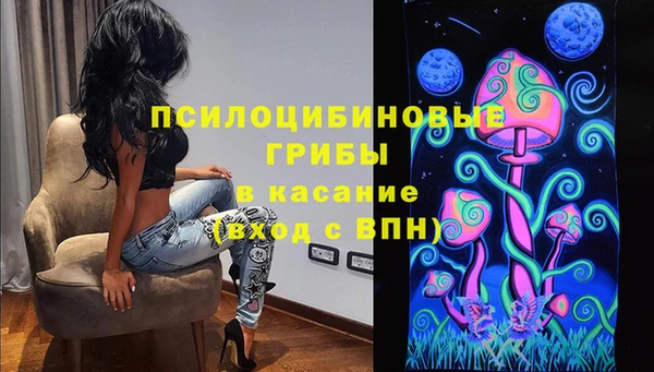 MESCALINE Аркадак